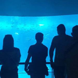 ACQUARIUM_original