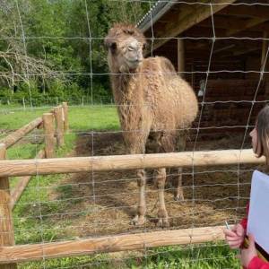 SORTIE_FERME_11_05_6_original