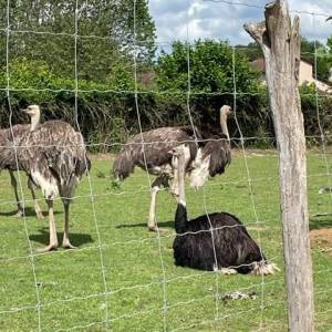 SORTIE_FERME_11_05_8_original