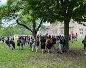 IMG_08081_original
