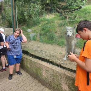IMG_20230620_133149_original