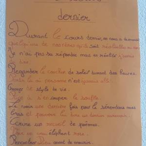 IMG_8341_original
