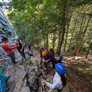 IMG-20250927-WA0013_original