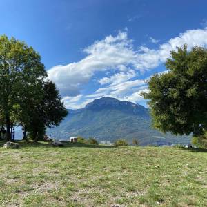 IMG-20250927-WA0044_original