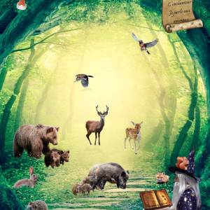 96141B7C-82E2-4F4C-9C43-9D067E8FEE10-L0-001_original