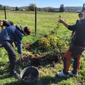 IMG-20251106-WA0010_original