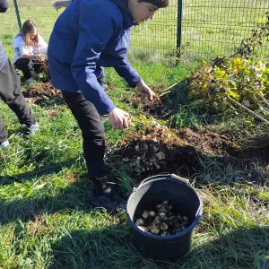 IMG-20251106-WA0013_original