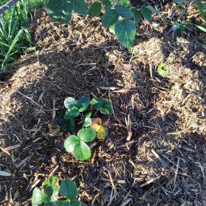 WhatsApp_Image_2025-11-05_a_11.16.23_70b6b941_original