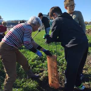 IMG-20251113-WA0041_original