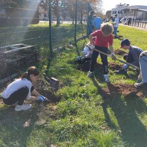 IMG-20251113-WA0042_original