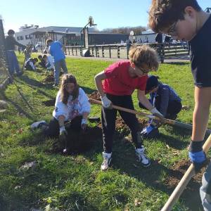 IMG-20251113-WA0044_original