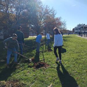 IMG-20251113-WA0045_original