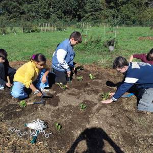 IMG-20251113-WA0055_original