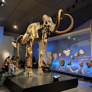 IMG-20251121-WA0007_original