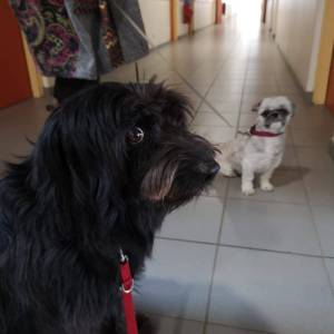 IMG-20251106-WA0003_original