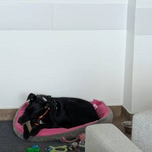 IMG-20251205-WA0010_original