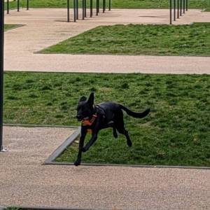 IMG-20251205-WA0012_original