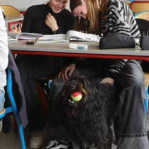 IMG-20251205-WA0022_original