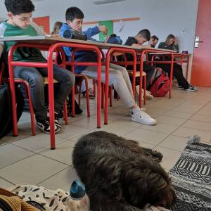 IMG-20251205-WA0024_original