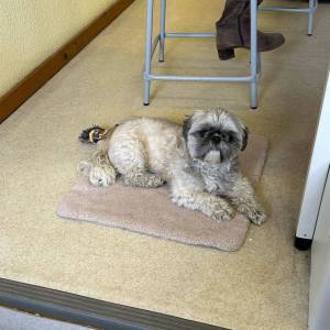 IMG-20251205-WA0034_original