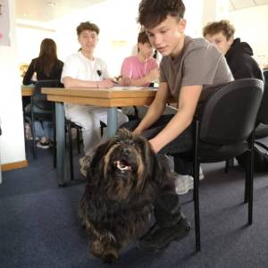 WhatsApp_Image_2025-12-04_a_22.17.55_ba2272ac_original