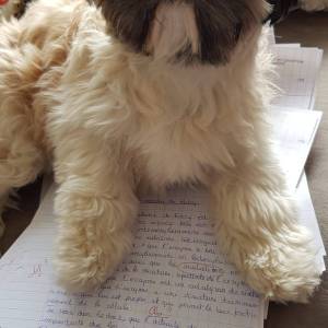 WhatsApp_Image_2025-12-06_a_11.40.57_582d0146_original