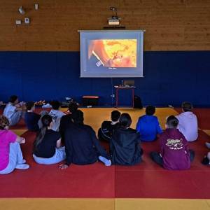 WhatsApp_Image_2026-02-12_at_18.27.40_5_original