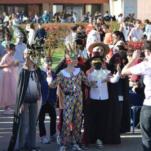 WhatsApp_Image_2026-03-12_at_23.07.57_6_-_Copie_original