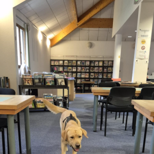 Capture_decran_2026-03-30_163953_original