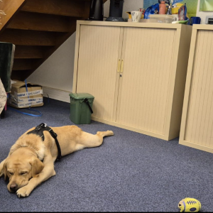 Capture_decran_2026-03-30_164103_original