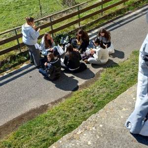 WhatsApp_Image_2026-03-19_at_15.44.50_1_original