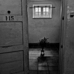 WhatsApp_Image_2026-03-31_at_17.19.26_4_original