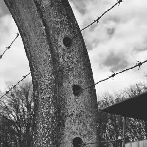 WhatsApp_Image_2026-03-31_at_17.19.26_5_original