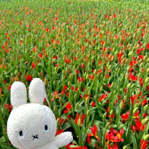 WhatsApp_Image_2026-04-02_at_00.15.29_4_original