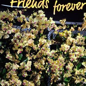 WhatsApp_Image_2026-04-02_at_00.15.29_original