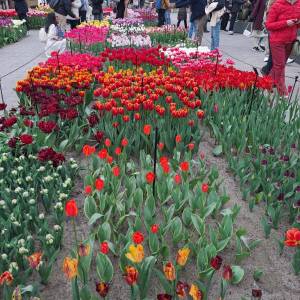 WhatsApp_Image_2026-04-02_at_00.15.30_1_original