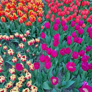 WhatsApp_Image_2026-04-02_at_00.15.30_3_original