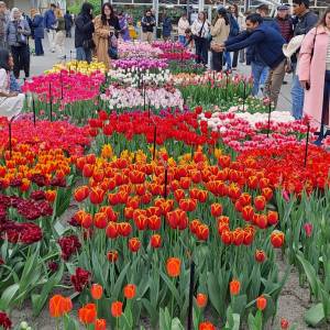 WhatsApp_Image_2026-04-02_at_00.15.30_4_original