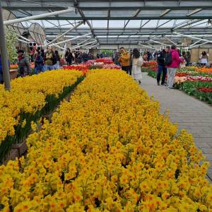 WhatsApp_Image_2026-04-02_at_00.15.30_5_original