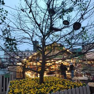 WhatsApp_Image_2026-04-23_at_11.34.13_original