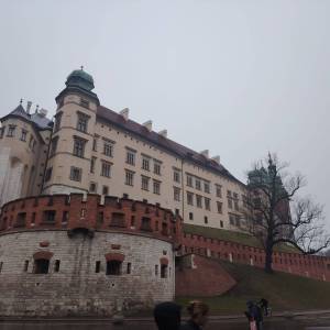 WhatsApp_Image_2026-04-23_at_11.34.14_3_original