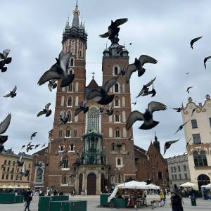 WhatsApp_Image_2026-04-23_at_11.34.16_3_original