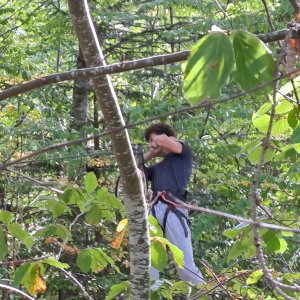 WhatsApp_Image_2026-10-01_at_17.03.01_1