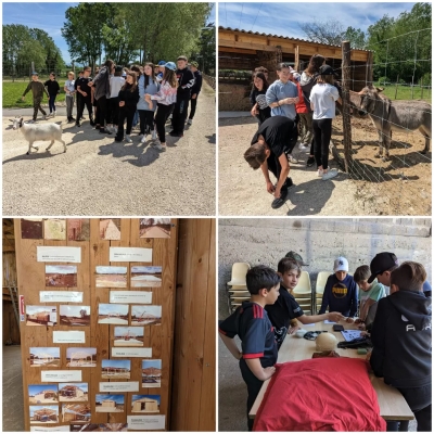 Sortie à la ferme Père Louis 6èmes