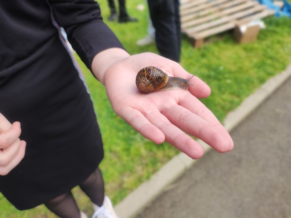 Visite élevage d’escargots